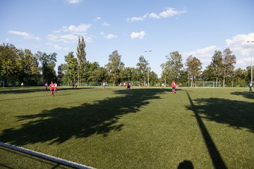 Bild 256 - Frauen HSV - cJun Eintracht Norderstedt : Ergebnis: 1:16